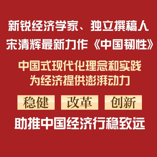 中国韧性 商品图1