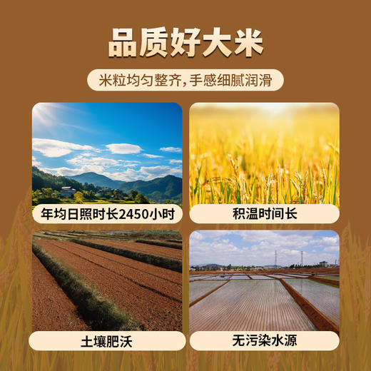 彝香粹 楚粳49号香米清香系列香米5kg 商品图2