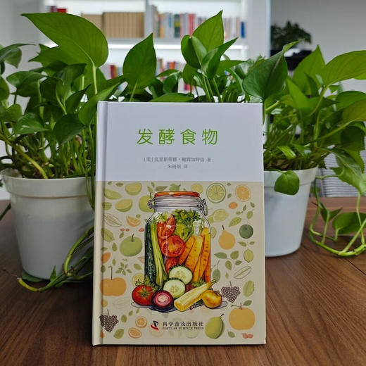 发酵食物 商品图1