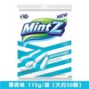 MintZ薄荷味软糖115g 商品缩略图0