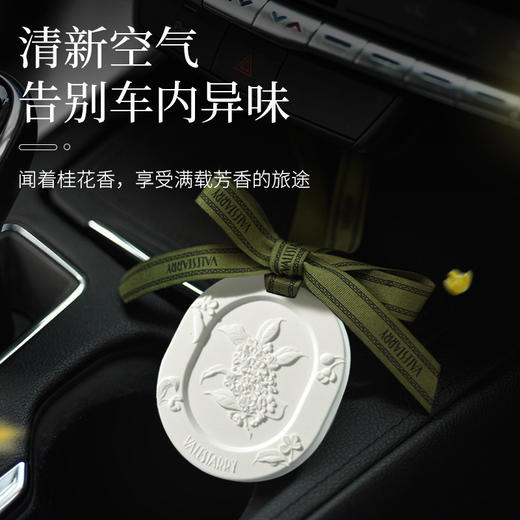 DWF1807378697269卧室衣柜香薰车载扩香石家用室内持久留香男女士汽车香薰饰品挂件RJ063 商品图4