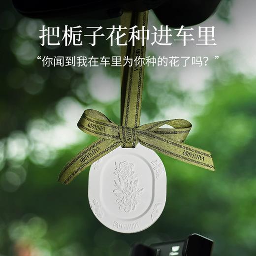 DWF1807378697269卧室衣柜香薰车载扩香石家用室内持久留香男女士汽车香薰饰品挂件RJ063 商品图0