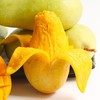 海南金煌芒芒果4.5-5斤大果（单果400g+） 商品缩略图1