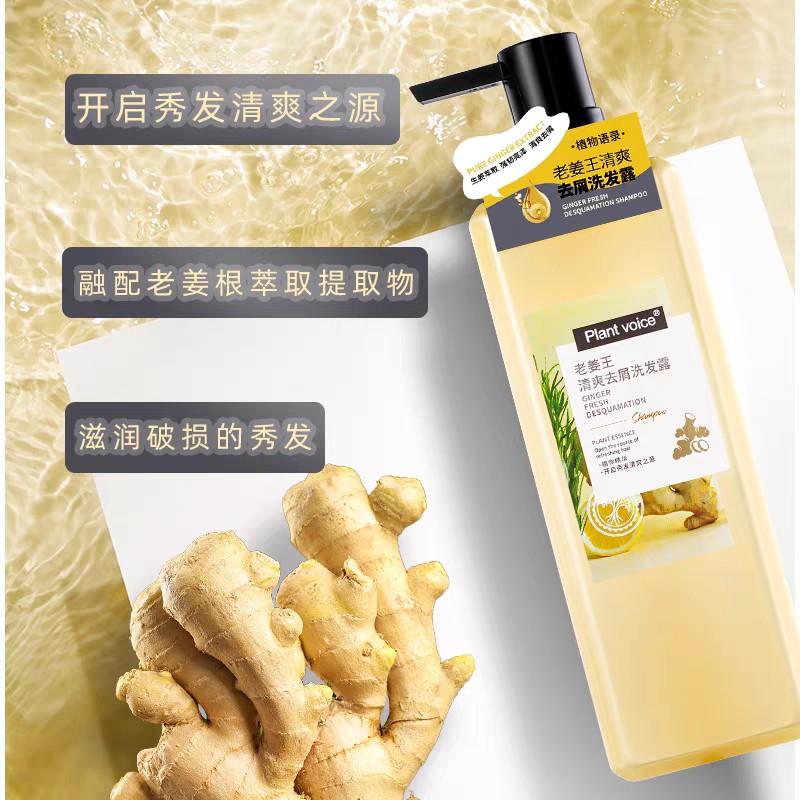 植物语录老姜王清爽去屑洗发露500ml效期27年8月