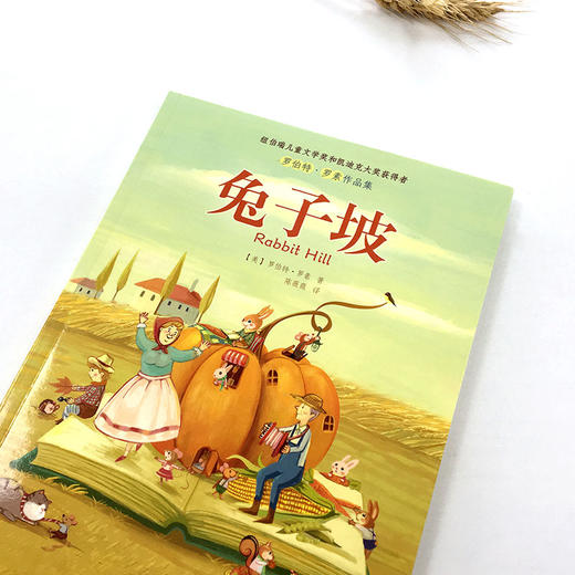 兔子坡  纽伯瑞儿童文学金奖作品  儿童文学 商品图2