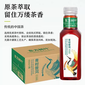 东方树叶青柑普洱茶（500ml）