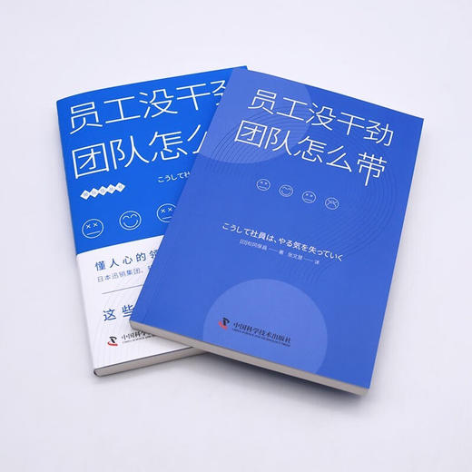 员工没干劲，团队怎么带 商品图5