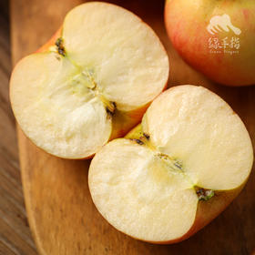 生态新世纪苹果 | 合作生产 *Ecological New Century Apple| Partner Production