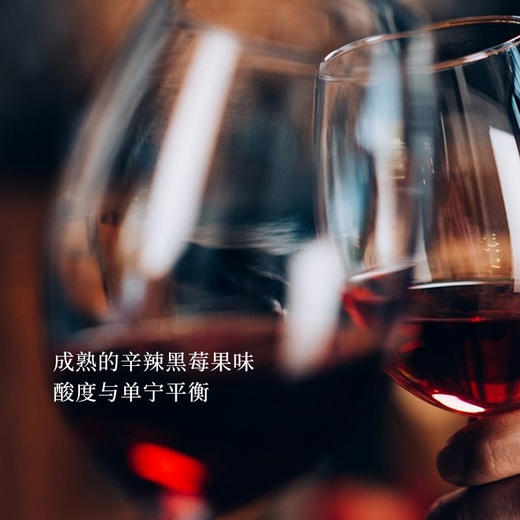 梦蒂贝罗GSM2018&2019红葡萄酒双支套装 商品图5