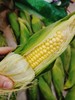鲜黄玉米3个 商品缩略图1