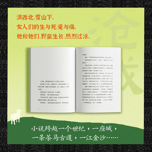 《沧城》：女人如何活？跟天学。天让你活，你就活。《当代》文学杂志权威力荐！云南版《我的阿勒泰》 商品图3