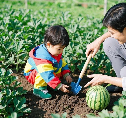 🍉【森林小农夫招募】西瓜成长营｜从种子到甜蜜的绿野实践课 商品图5