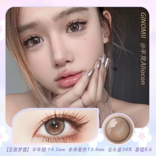 GINOMII Brown 亚裔梦露 14.2mm【半年抛1片】 商品图0