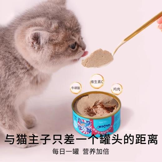 【热卖】whycat鸡肉罐头营养鲜肉 商品图4