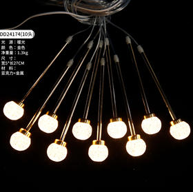 DD24174-10头灯串（运费自理）