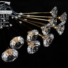 DD24178-10头灯串（运费自理）