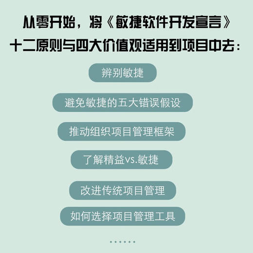 敏捷宣言：敏捷开发如何赋能项目管理 商品图2