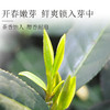 【2026新茶】泥巴哥7星云雾明前高山绿茶125g*2袋 商品缩略图4