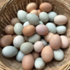 八乡山原生态土鸡蛋 商品缩略图4