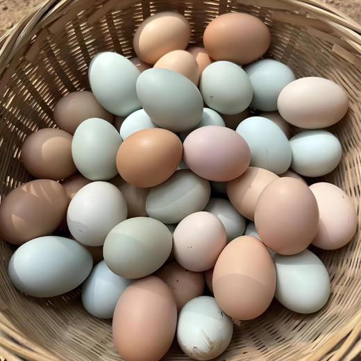 八乡山原生态土鸡蛋 商品图4