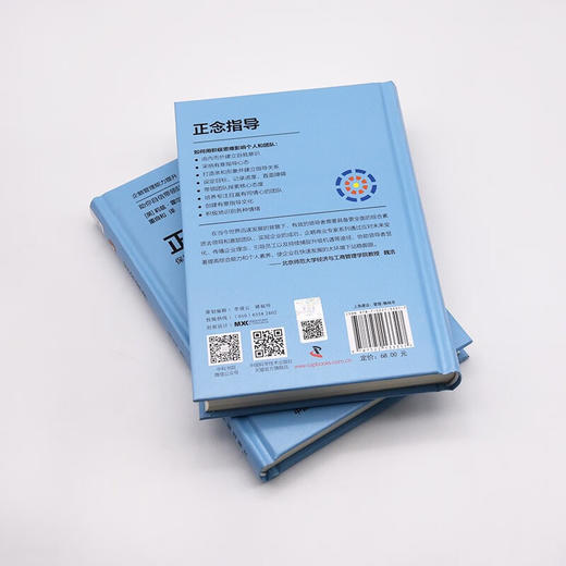 正念指导：保持向上思维，激发团队力量（精装典藏版） 企鹅管理能力提升“口袋课” 商品图9