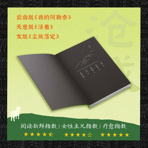 《沧城》：女人如何活？跟天学。天让你活，你就活。《当代》文学杂志权威力荐！云南版《我的阿勒泰》 商品图2