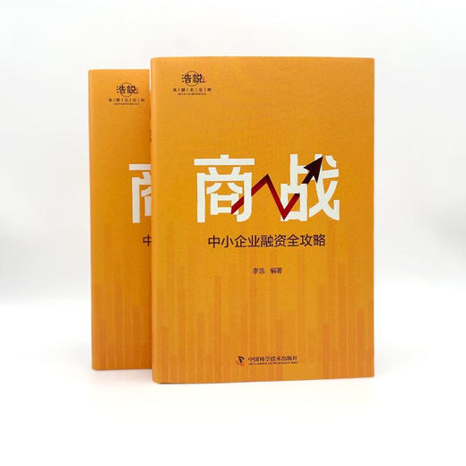 商战：中小企业融资全攻略（20余年融资实战经验汇总，中小企业融资窍门和避坑指南！） 商品图7