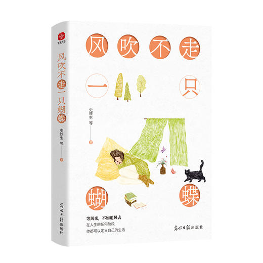 风吹不走一只蝴蝶 商品图0