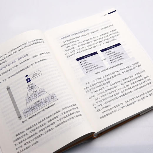 全局构思力：揭秘知名新兴企业转型升级背后的思维逻辑（精装典藏版） 商品图8