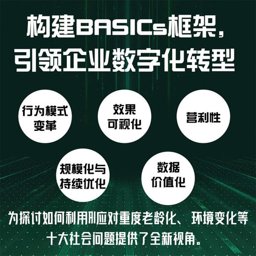 Web3时代的AI战略：构建BASICs框架，引领企业数字化转型 商品图1