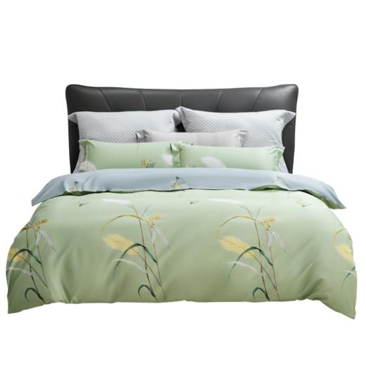 水星家纺倩影摇曳40s全棉抗菌床单四件套【分仓直发，72小时发货，周末节假日不发货】 商品图2