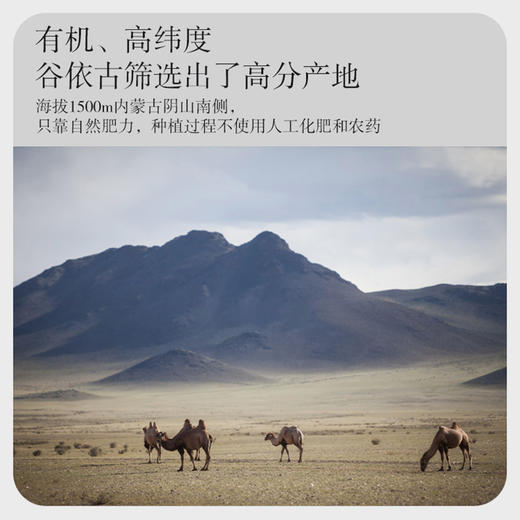 谷依古有机黄金亚麻籽粉 商品图1