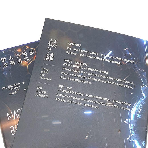 人工智能与人工未来：探索人工智能的道德边界 deepseek教程 商品图6