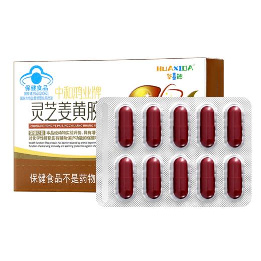 华喜达中和鸿业牌灵芝姜黄胶囊辅助保护化学性肝损伤增强免疫力 商品图5