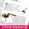 昆虫王国大百科十万个为什么全套小学正版少儿百科全书儿童图书6-7-8-9-10-12-15岁走进奇妙的虫子世界成人小学生畅销科普书籍 商品缩略图1