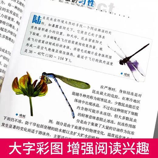 昆虫王国大百科十万个为什么全套小学正版少儿百科全书儿童图书6-7-8-9-10-12-15岁走进奇妙的虫子世界成人小学生畅销科普书籍 商品图1