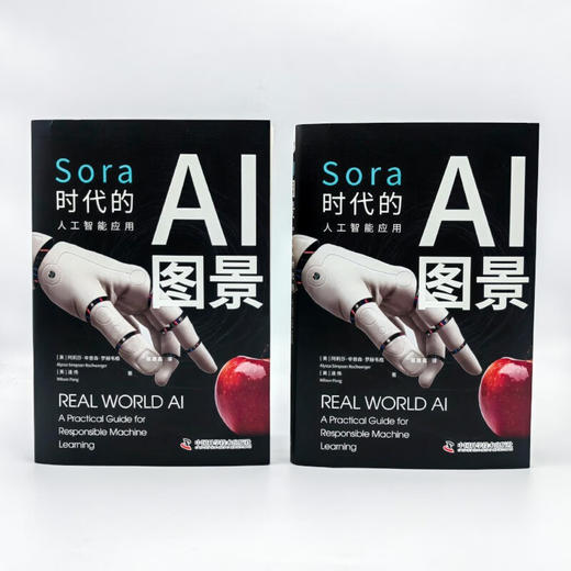 AI图景：Sora时代的人工智能应用 deepseek教程 商品图6