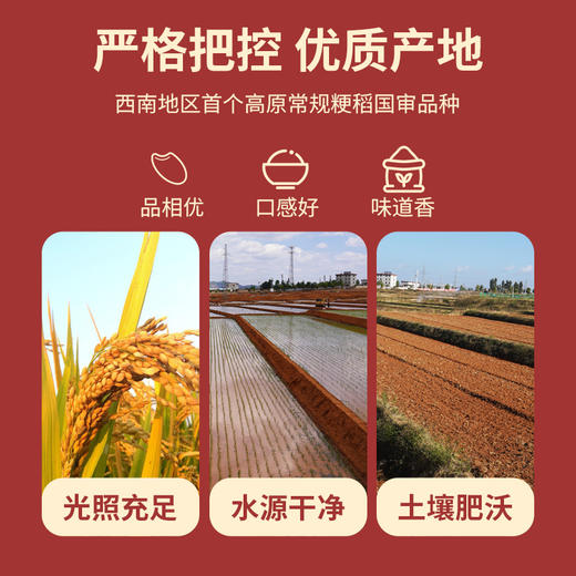 彝香粹 至臻系列5kg（礼盒）包含楚梗48号软米4盒（1kg/盒）和楚梗49号香米1盒（1kg/盒） 商品图2