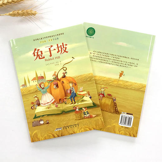 兔子坡  纽伯瑞儿童文学金奖作品  儿童文学 商品图1