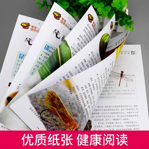 昆虫王国大百科十万个为什么全套小学正版少儿百科全书儿童图书6-7-8-9-10-12-15岁走进奇妙的虫子世界成人小学生畅销科普书籍 商品图2