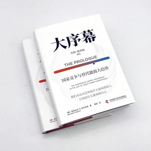 大序幕：国家竞争与替代能源大趋势 商品图4