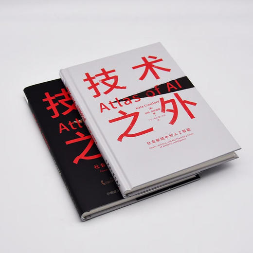 技术之外：社会联结中的人工智能（精装典藏版） deepseek教程 商品图4