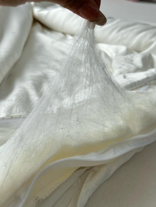 【由中国人保承保 保真100%蚕丝】高端奢润蝶舞花间天丝棉古法纯手工蚕丝被  天丝棉柔软丝滑裸睡 商品图2