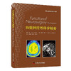 功能神经外科学精要 国际经典神经科学译著 商品缩略图0