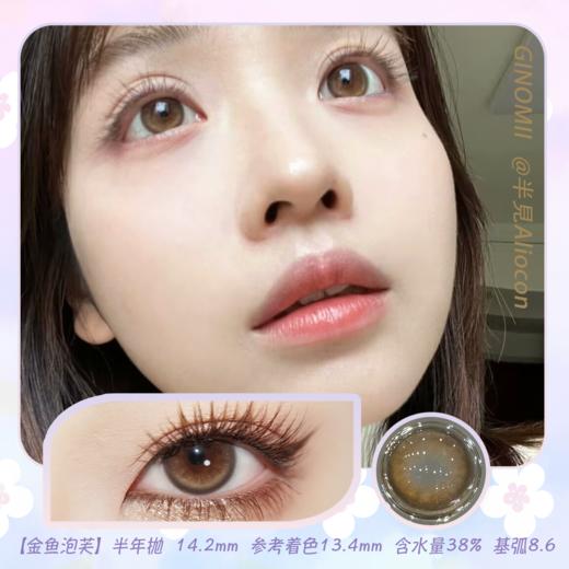 GINOMII Brown 金鱼泡芙 14.2mm【半年抛1片】 商品图0