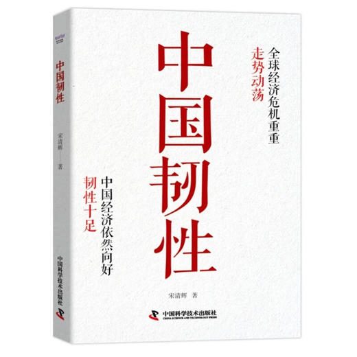 中国韧性 商品图3