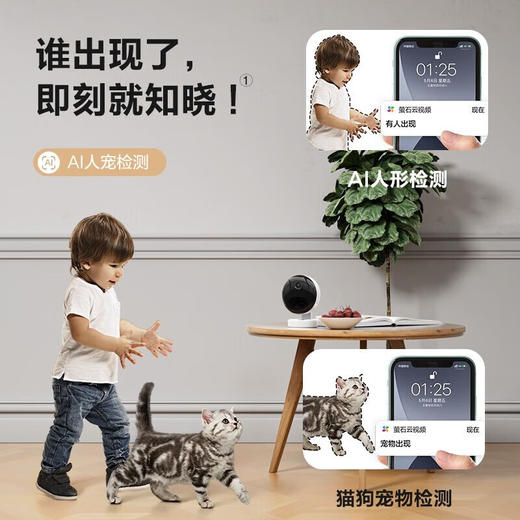 【萤石】PM2宠物看护摄像头 300万像素手机WiFi远程高清星光级夜视室内智能无线监控器 商品图3