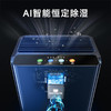 【除湿净化一体】卡蛙除湿机  新型半导体冷凝 自动除霜 低温除湿 4倍除湿效率 3大除湿模式 空气过滤 节能舒适 全屋移动 2L大容量KW-CS04 商品缩略图3