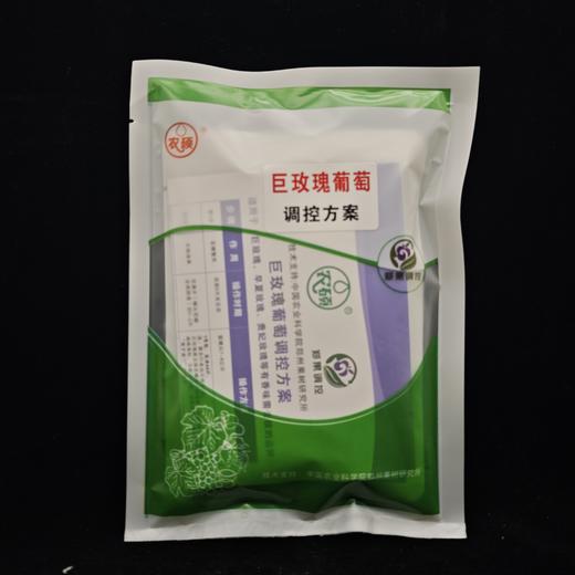 郑果所巨玫瑰、黑皇、妮娜皇后、玫瑰香、浪漫红颜、赛果美、红提大宝、等多种葡萄调控方案一套一亩地 商品图0