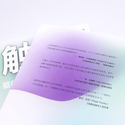 触发：驱动客户本能购买和追随 商品图6